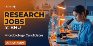 Research Scientist Jobs at BHU | PhD Microbiology Candidates Apply Now Research Scientist Jobs at BHU Recruitment 2026. Apply for Microbiology Jobs under ICMR project in Varanasi.