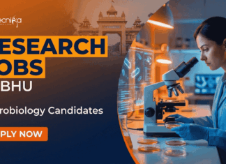 Research Scientist Jobs at BHU | PhD Microbiology Candidates Apply Now Research Scientist Jobs at BHU Recruitment 2026. Apply for Microbiology Jobs under ICMR project in Varanasi.