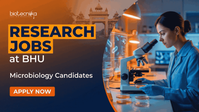 BHU (4) Research Scientist Jobs at BHU Recruitment 2026. Apply for Microbiology Jobs under ICMR project in Varanasi.