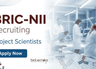 Govt Bioinformatics Jobs at BRIC-NII | Earn Upto Rs. 56,000/- PM | Apply Now Apply for Bioinformatics Scientist Jobs at BRIC NII Delhi: Project Scientist Recruitment with AI, HPC & Immunology Research Opportunity.