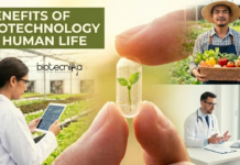 Discover the Benefits of Biotechnology, Including Key Advantages, its Importance in Daily Life, & How it is Shaping the Future in Healthcare