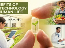 Discover the Benefits of Biotechnology, Including Key Advantages, its Importance in Daily Life, & How it is Shaping the Future in Healthcare