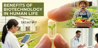 Discover the Benefits of Biotechnology, Including Key Advantages, its Importance in Daily Life, & How it is Shaping the Future in Healthcare