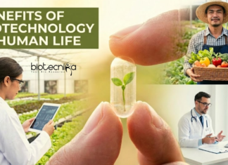 Benefits of Biotechnology in Human Life – Healthcare and Many More Discover the Benefits of Biotechnology, Including Key Advantages, its Importance in Daily Life, & How it is Shaping the Future in Healthcare