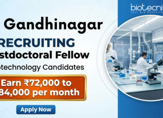 Postdoctoral Fellow at IIT Gandhinagar. Biotechnology & Biosensing Technology Candidates, Earn ₹72,000 to ₹84,000 per month.