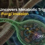 CCMB scientists studying fungal metabolism as a new target for antifungal therapies in fungi.