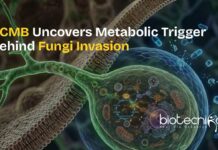 CCMB scientists studying fungal metabolism as a new target for antifungal therapies in fungi.
