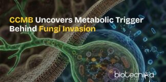 CCMB scientists studying fungal metabolism as a new target for antifungal therapies in fungi.