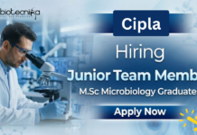 Microbiology Jobs at Cipla – Junior Team Member Recruitment | Apply Now Microbiology Jobs at Cipla for M.Sc Microbiology graduates