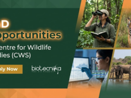 PhD Admissions 2026 at Centre for Wildlife Studies. Apply for the PhD Program in Wildlife Ecology. Fellowship of ₹40,000.