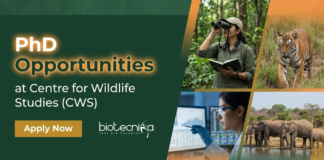 PhD Admissions 2026 at Centre for Wildlife Studies. Apply for the PhD Program in Wildlife Ecology. Fellowship of ₹40,000.