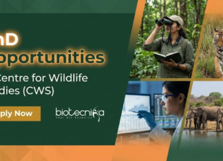 Opportunities for Ph.D at International Organization | Apply Now And Get a Fellowship of ₹50,000 PhD Admissions 2026 at Centre for Wildlife Studies. Apply for the PhD Program in Wildlife Ecology. Fellowship of ₹40,000.