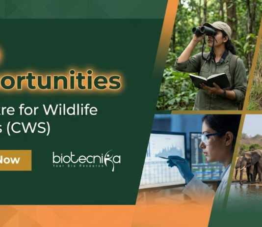 PhD Admissions 2026 at Centre for Wildlife Studies. Apply for the PhD Program in Wildlife Ecology. Fellowship of ₹40,000.