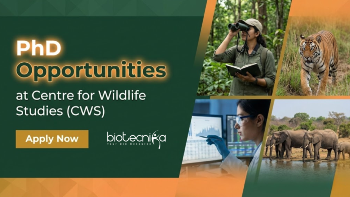 PhD Admissions 2026 at Centre for Wildlife Studies. Apply for the PhD Program in Wildlife Ecology. Fellowship of ₹40,000. PhD Admissions 2026 at Centre for Wildlife Studies. Apply for the PhD Program in Wildlife Ecology. Fellowship of ₹40,000.