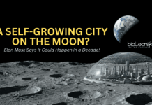 SpaceX Starship concept for building a self-growing city on the Moon before Mars mission