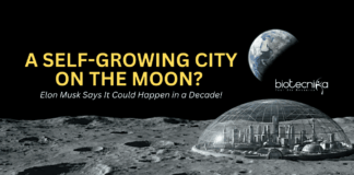 SpaceX Starship concept for building a self-growing city on the Moon before Mars mission