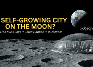 A Self Growing City on the Moon? Elon Musk Thinks SpaceX Can Turn Sci-Fi Into Reality SpaceX Starship concept for building a self-growing city on the Moon before Mars mission