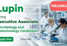 Freshers Job at Lupin | Apply Now for Microbiology and Biotech Jobs Apply for Executive Associate Production Mammalian at Lupin Pune. Explore Biotech and Microbiology Jobs with Lupin Career.