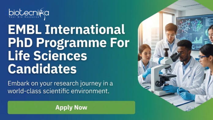 EMBL International PhD Programme at EMBL. Life Sciences Candidates, Apply Now. Life Sciences PhD with Competitive Stipends.