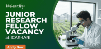 Junior Research Fellow at ICAR-IARI. Molecular Biology, Biotechnology, or Plant Pathology Candidates, Apply Now.