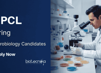 Govt Jobs | HPCL Is Hiring for Officer Position | Apply Now for Microbiology Jobs HPCL Recruitment: Microbiology Jobs Opportunity in biofuel industry for Experienced Life Science Professionals, Apply For Officer Role.