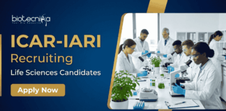 Govt Research Jobs at ICAR-IARI | Apply Now for Career in Life Science Research Apply for IARI Recruitment 2026 offering Research Jobs. Life Science Research positions available in Genetics & Molecular Breeding projects.