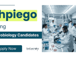 Microbiology Jobs at Jhpiego | Apply Now for Laboratory Technician Role Apply for Microbiology Jobs at Jhpiego. Laboratory Technician Jobs in Chennai for BSc/MSc Candidates with Diagnostic Lab Experience.