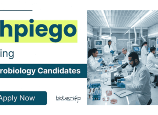 Microbiology Jobs at Jhpiego | Apply Now for Laboratory Technician Role Apply for Microbiology Jobs at Jhpiego. Laboratory Technician Jobs in Chennai for BSc/MSc Candidates with Diagnostic Lab Experience.