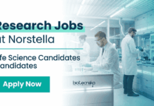 WFH Life Science Jobs at Norstella | Apply Now for Researcher Role Research Jobs under Norstella Careers. Apply for Remote Life Science Jobs in India for Drug Researcher Role in Pharma Data & AI.