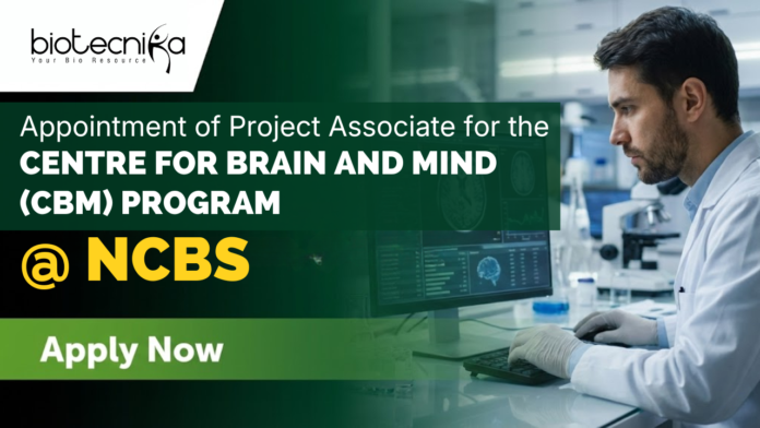 Project Associate Jobs NCBS Recruitment Bangalore stem cell research Project Associate Jobs NCBS Recruitment Bangalore stem cell research