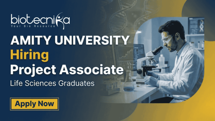 Project Associate Jobs Amity University Recruitment bioinformatics research Project Associate Jobs Amity University Recruitment bioinformatics research