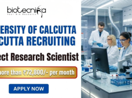 Research Scientist Jobs at University of Calcutta. Biological Sciences Candidates, Apply Now and Earn more than ₹72,800/- per month