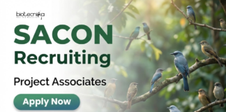 Apply for Project Associate Jobs under SACON Recruitment 2026. Build your Career in Zoology through Wildlife Conservation Research Projects.
