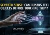 Do Humans Have a Seventh Sense? New Research Says Maybe New Research Suggests Humans May Possess a Seventh Sense, allowing Remote Touch by Detecting Subtle Physical Signals Before Direct Contact.