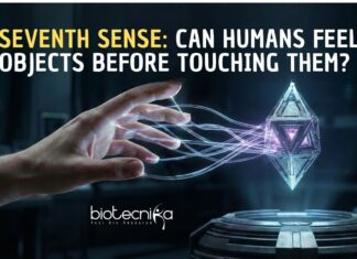 Do Humans Have a Seventh Sense? New Research Says Maybe New Research Suggests Humans May Possess a Seventh Sense, allowing Remote Touch by Detecting Subtle Physical Signals Before Direct Contact.