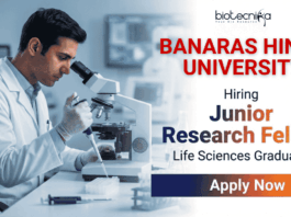Junior Research Fellowship (JRF) Job at BHU | Life science Jobs | Apply Now Junior Research Fellowship (JRF) at BHU Varanasi – Apply Before 25 Feb 2026