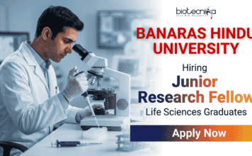 Junior Research Fellowship (JRF) Job at BHU | Life science Jobs | Apply Now Junior Research Fellowship (JRF) at BHU Varanasi – Apply Before 25 Feb 2026