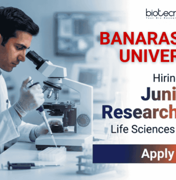 Junior Research Fellowship (JRF) Job at BHU | Life science Jobs | Apply Now Junior Research Fellowship (JRF) at BHU Varanasi – Apply Before 25 Feb 2026