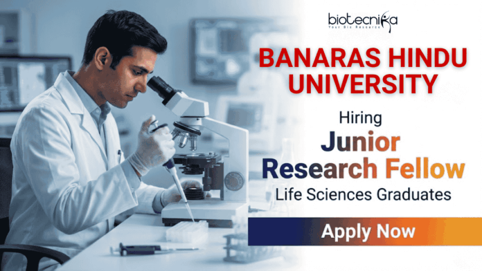 Junior Research Fellowship (JRF) at BHU Varanasi – Apply Before 25 Feb 2026 Junior Research Fellowship (JRF) at BHU Varanasi – Apply Before 25 Feb 2026