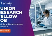 Junior Research Fellow at GBU | Life Sciences Candidates, Apply Now and Earn ₹36,000 per month Junior Research Fellow at GBU. Plant Biotechnology, Bioinformatics, or Life Sciences. Candidates, Apply Now.
