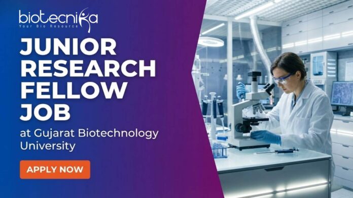 Junior Research Fellow at GBU. Plant Biotechnology, Bioinformatics, or Life Sciences. Candidates, Apply Now. Junior Research Fellow at GBU. Plant Biotechnology, Bioinformatics, or Life Sciences. Candidates, Apply Now.