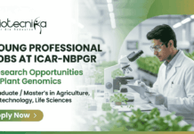 Young Professional jobs at ICAR-NBPGR, research jobs in wheat genomics, plant breeding positions for life sciences graduates