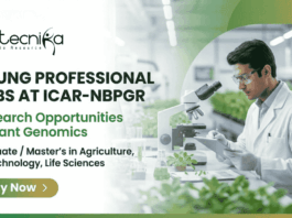 Young Professional Jobs at ICAR-NBPGR – Research in Plant Genomics Opportunities Young Professional jobs at ICAR-NBPGR, research jobs in wheat genomics, plant breeding positions for life sciences graduates