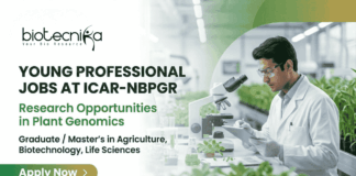 Young Professional jobs at ICAR-NBPGR, research jobs in wheat genomics, plant breeding positions for life sciences graduates