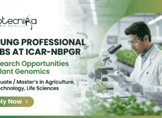 Young Professional Jobs at ICAR-NBPGR – Research in Plant Genomics Opportunities Young Professional jobs at ICAR-NBPGR, research jobs in wheat genomics, plant breeding positions for life sciences graduates