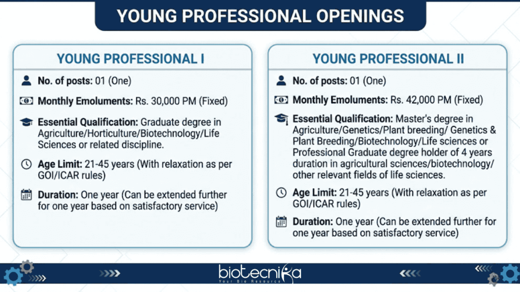 Young Professional jobs at ICAR-NBPGR, research jobs in wheat genomics, plant breeding positions for life sciences graduates