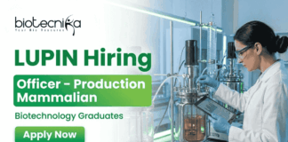 Biotechnology Job at Lupin – Officer Production Role | Apply Now Biotechnology job at Lupin Officer Production Mammalian Pune biotech hiring