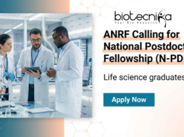 National Postdoctoral Fellowship ANRF postdoctoral fellowship for researchers