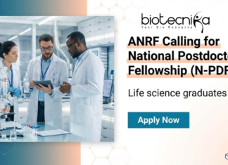 National Postdoctoral Fellowship (N-PDF) – ANRF Fellowship for Researchers | Apply Now National Postdoctoral Fellowship ANRF postdoctoral fellowship for researchers