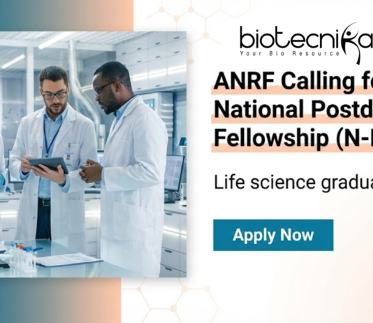 National Postdoctoral Fellowship (N-PDF) – ANRF Fellowship for Researchers | Apply Now National Postdoctoral Fellowship ANRF postdoctoral fellowship for researchers